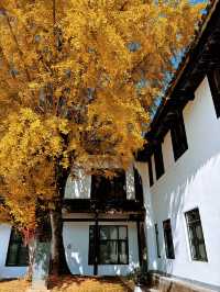 人少!景美!秋季來衡山到這才能值回票價