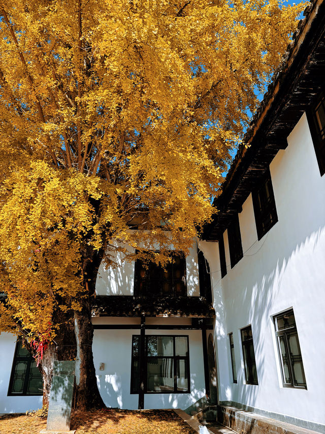 人少!景美!秋季來衡山到這才能值回票價 人少!景美!秋季來衡山到這才能值回票價