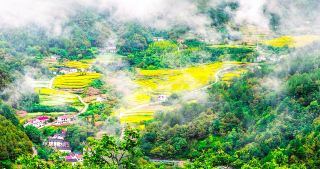 秦巴山中的世外桃源—寧陝