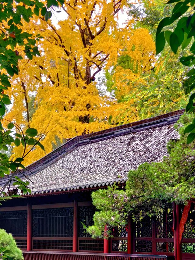 為了這扇秋日限定的窗，我專門去了趟崇州