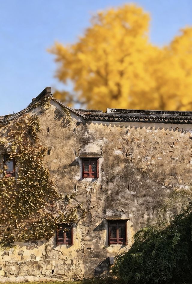 禪意江南必去打卡地 禪意江南必去打卡地