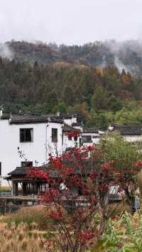 徽州古城秋日漫步