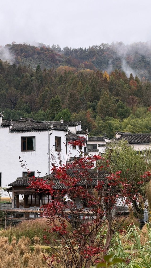 徽州古城秋日漫步