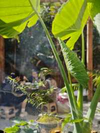 在婺源的冬日裡，遇見一家能曬陽玩陶的治癒民宿｜近弦高古城3公