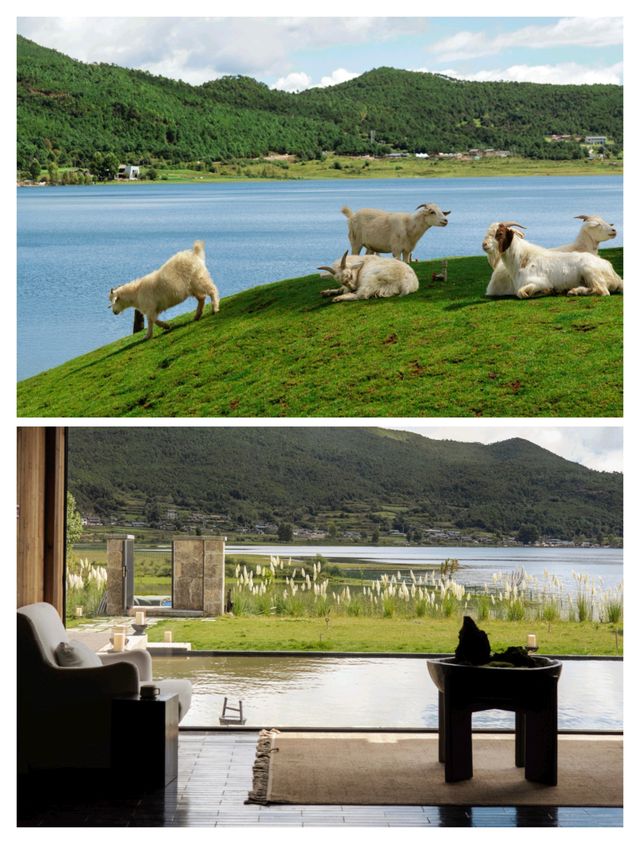 雪山腳下的童話世界