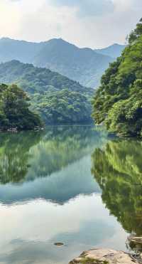 師傅，剎一腳深度遊肇慶：揭秘嶺南第一湖之美