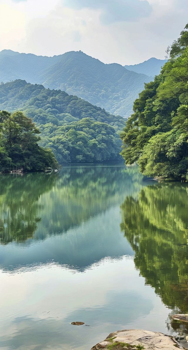 師傅，剎一腳深度遊肇慶：揭秘嶺南第一湖之美