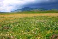 夏日必去甘南草原