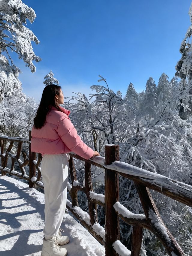 瓦屋山雪已就位！成都自駕3h直達的冰雪快樂，霧淞、冰瀑、滑雪全拿捏，新手閉眼衝的攻略整理好啦，趕緊碼