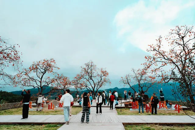 永嘉東爐村|秋日限定的「柿」外桃源 永嘉東爐村|秋日限定的「柿」外桃源