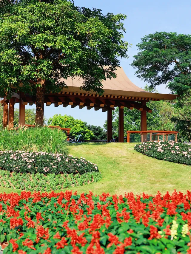 深圳地鐵直達的彩虹花海!這個公園太寶藏 深圳地鐵直達的彩虹花海!這個公園太寶藏