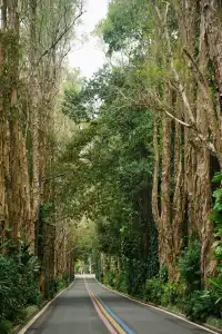 在福州｜安利這個值得帶小朋友N刷的寶藏公園
