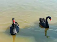 杭州灣濕地公園——承包我對秋冬的所有浪漫