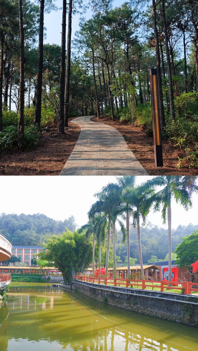 遛娃聖地！新興翔順金水台溫泉小鎮