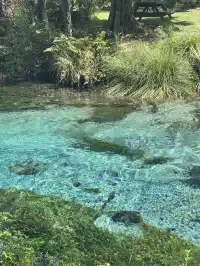 奧克蘭北島一日遊｜奧克蘭自然風景必打卡