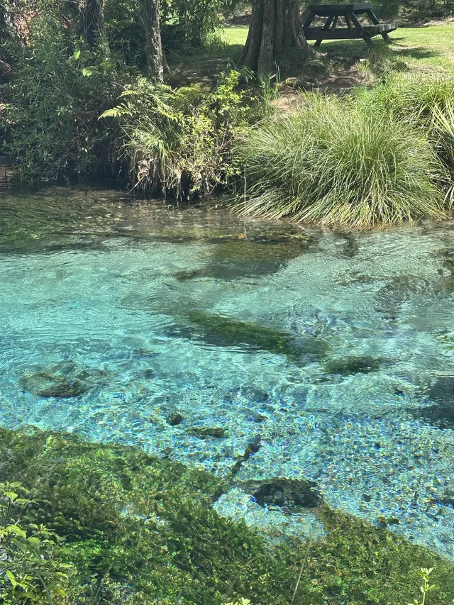 奧克蘭北島一日遊｜奧克蘭自然風景必打卡