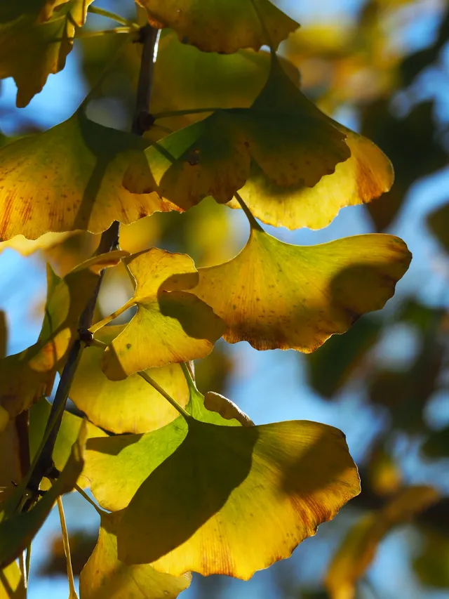桂林山水,和我正在變得清晰的生命(二) 桂林山水,和我正在變得清晰的生命(二)