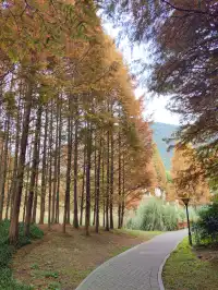 貴陽初冬·唯一想去無數次的公園