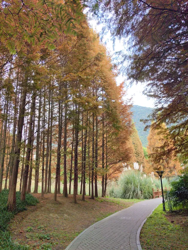 貴陽初冬·唯一想去無數次的公園
