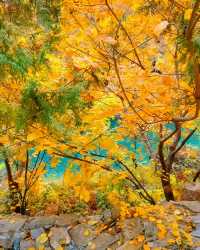 無門票!無停車費!景色絕美!不愧上過央視!