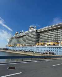 在海洋光譜號上，我找到了適合放空的角落｜郵輪安靜玩法分享