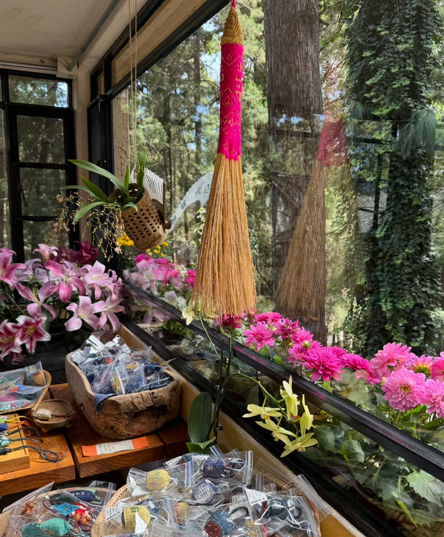 鴻達酒店:回家的感覺,在這裡找到了 鴻達酒店:回家的感覺,在這裡找到了