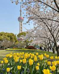 魔都版莫奈花園打卡|四季皆美,打卡不踩雷