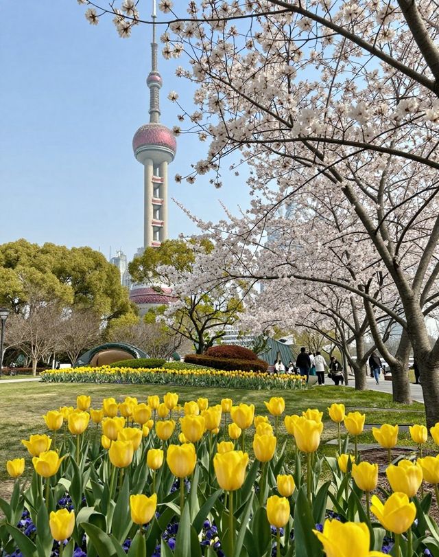 魔都版莫奈花園打卡|四季皆美,打卡不踩雷 魔都版莫奈花園打卡|四季皆美,打卡不踩雷