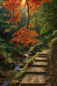 美到窒息！我在莫干山撿到了整座秋天