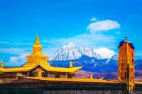 歡迎來塔公草原遊玩