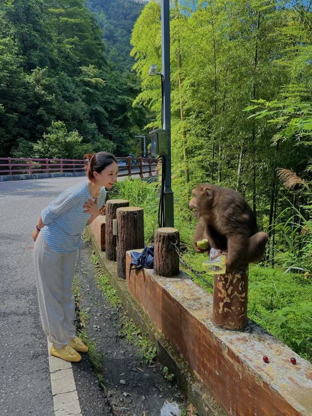 九華山下,我住這裡 九華山下,我住這裡