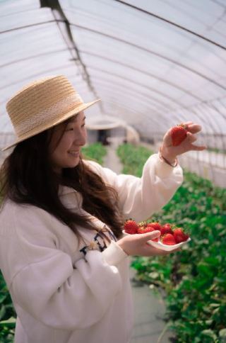 いちごの食べ放題摘み取り体験！