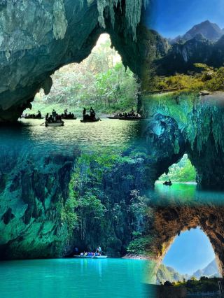 Tianchuang Huahai｜Explore the Underwater Forest That Blooms 🌸