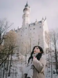 新天鵝堡夢幻冰雪城堡