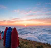 海拔1918米跨年音樂會!武功山高山跨年攻略來啦