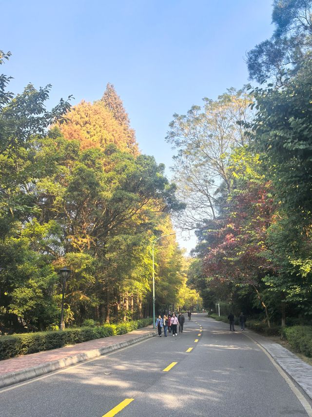 【韶關紅葉季】韶州公園漫步指南童話世界的調色盤在這裡! 【韶關紅葉季】韶州公園漫步指南童話世界的調色盤在這裡!