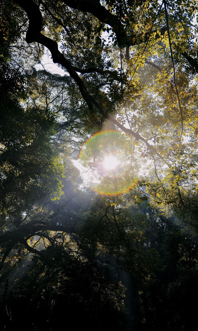 週末逃離杭州2h|在國清寺躺贏整個秋天 週末逃離杭州2h|在國清寺躺贏整個秋天