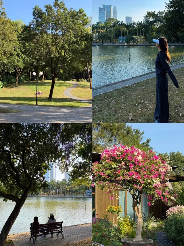 深圳的秋天 請來蓮花山公園大口吸氧吧