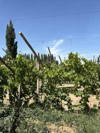 敦煌1日包車遊打卡所有精華景點