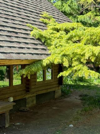 我好像在北京發現了現實版「動物烏托邦」!