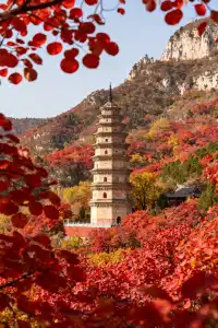 徒步賞秋天花板!這裡的秋日濃度已達90%