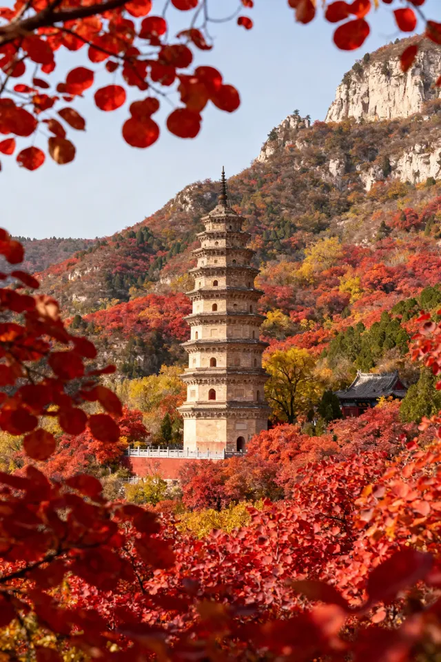 徒步賞秋天花板!這裡的秋日濃度已達90% 徒步賞秋天花板!這裡的秋日濃度已達90%