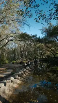 南京周邊遊——皖南的秋