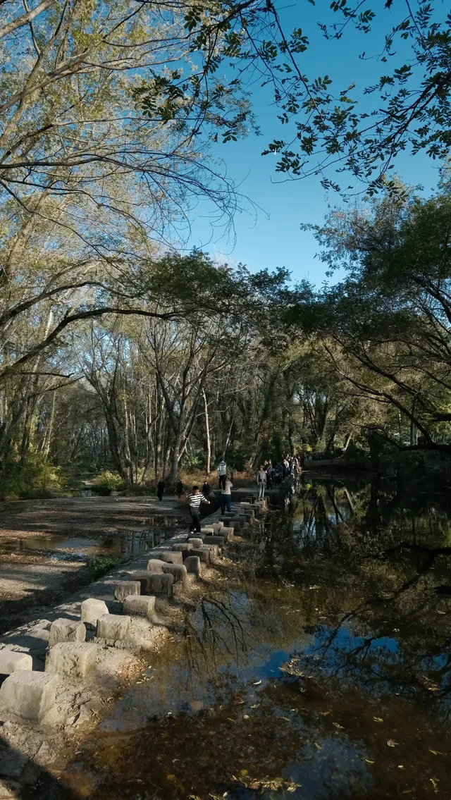 南京周邊遊——皖南的秋