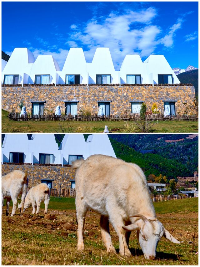 麗江版宮崎駿世界！這家雪山野奢酒店也太治癒了吧
