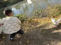 江浙滬遛娃計劃開啟第一站太湖龍之夢