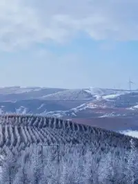 特價88元 樺皮嶺一日徒步踏雪,冬日浪漫