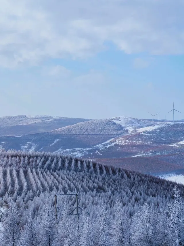 特價88元 樺皮嶺一日徒步踏雪,冬日浪漫 特價88元 樺皮嶺一日徒步踏雪,冬日浪漫