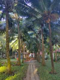 越南美奈｜椰林白浪間的絕美度假天堂  必去理由 一半沙漠一半海！東南亞小眾秘境美到窒息！ 