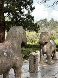 我在南京拍到了莫奈的睡蓮,想看看你拍的